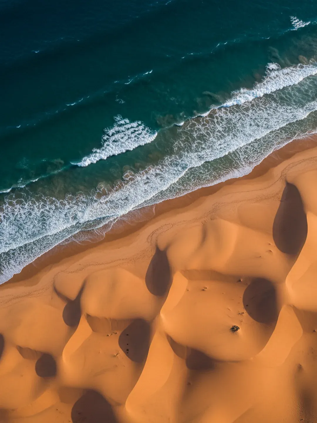 Vertical aerial view of the Dakhla coast. The Atlantic ocean at the top meeting sculptural Saharan dunes below.